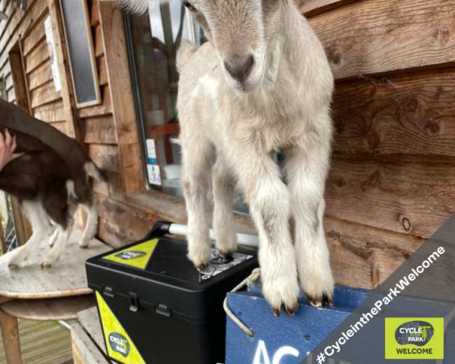 CITP Welcome scheme - Achray farm