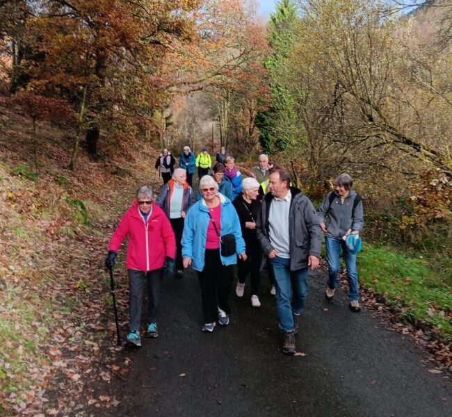 Aberfoyle Dounans walk 2