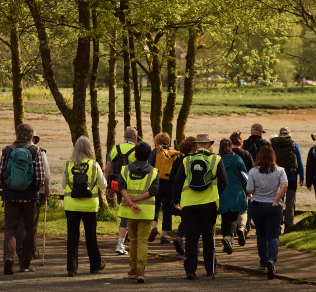 20250429 - Big Fit Walk 2025 - Long route group - PG (1)