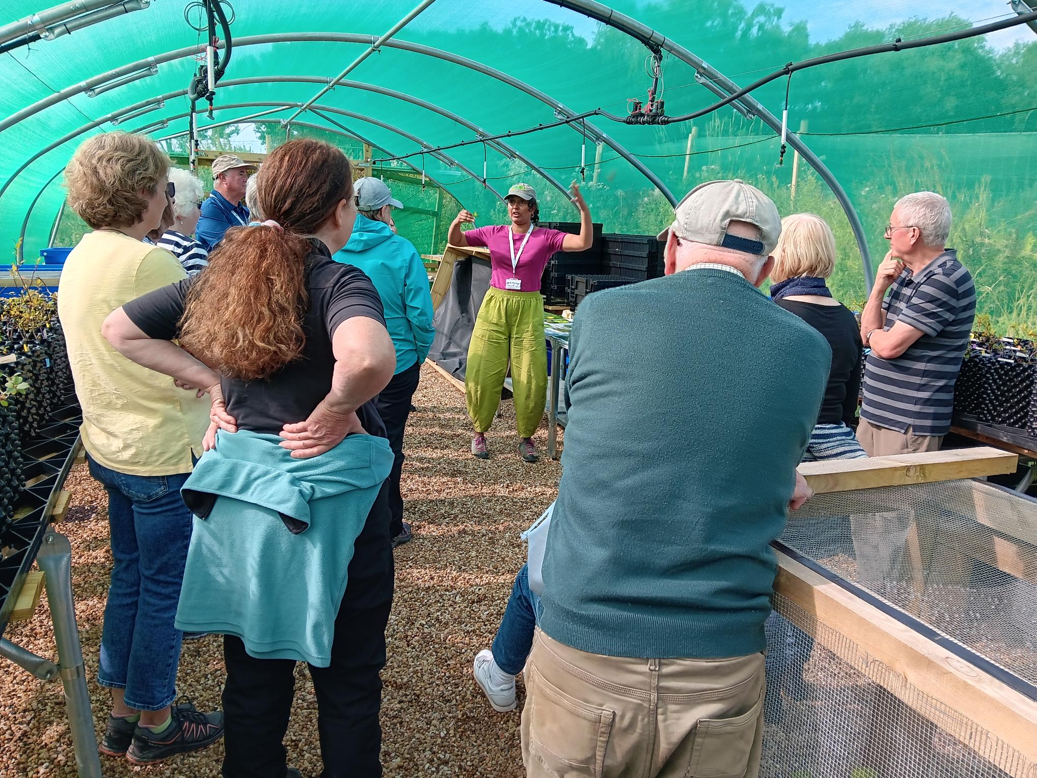 Images:  Volunteer Away Day to Lomond Plant Nursery, Credit Trust in the park
